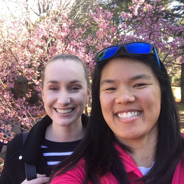 When you see your work bestie after 6 months apart, it&rsquo;s like you still see each other each day #B1B2 hanging out with work peeps at #cherryblossomfestival