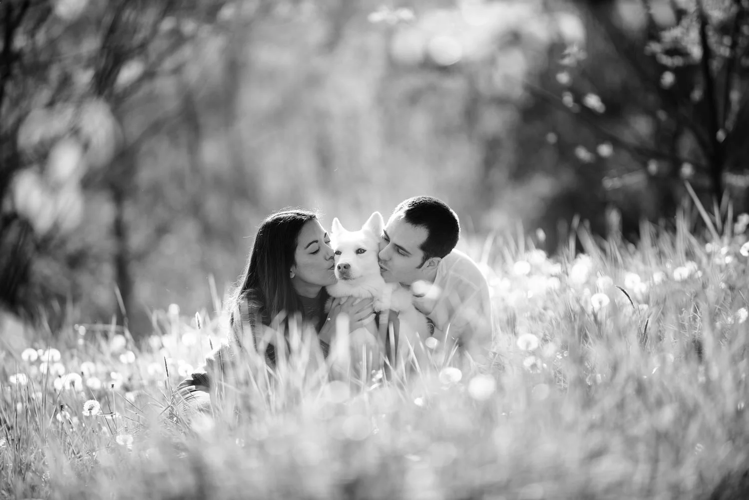 F27_4957_bw.jpg