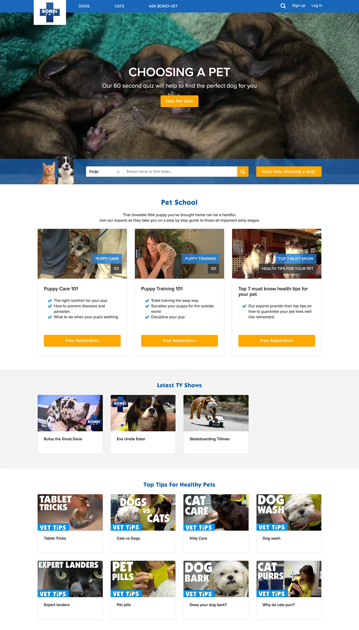 BV-Homepage.jpg