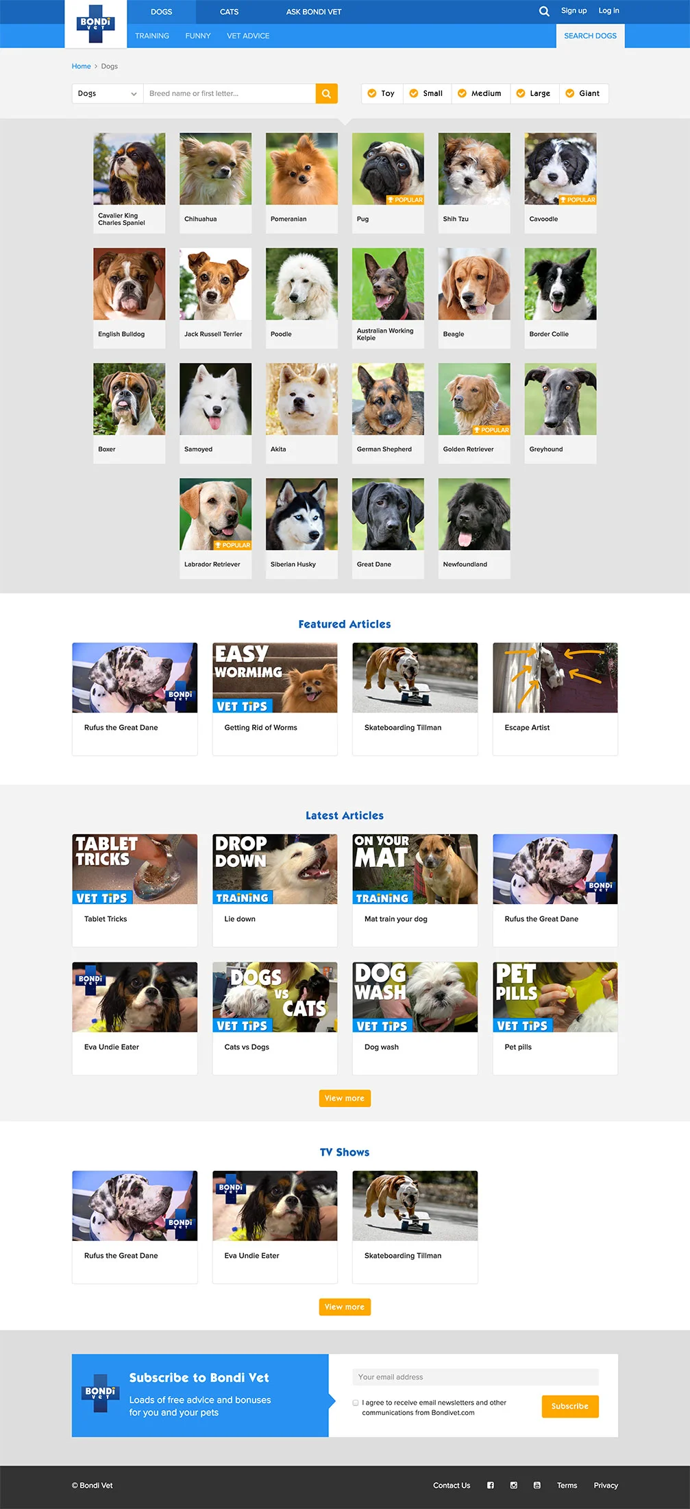 Dog-Video-Summary.jpg