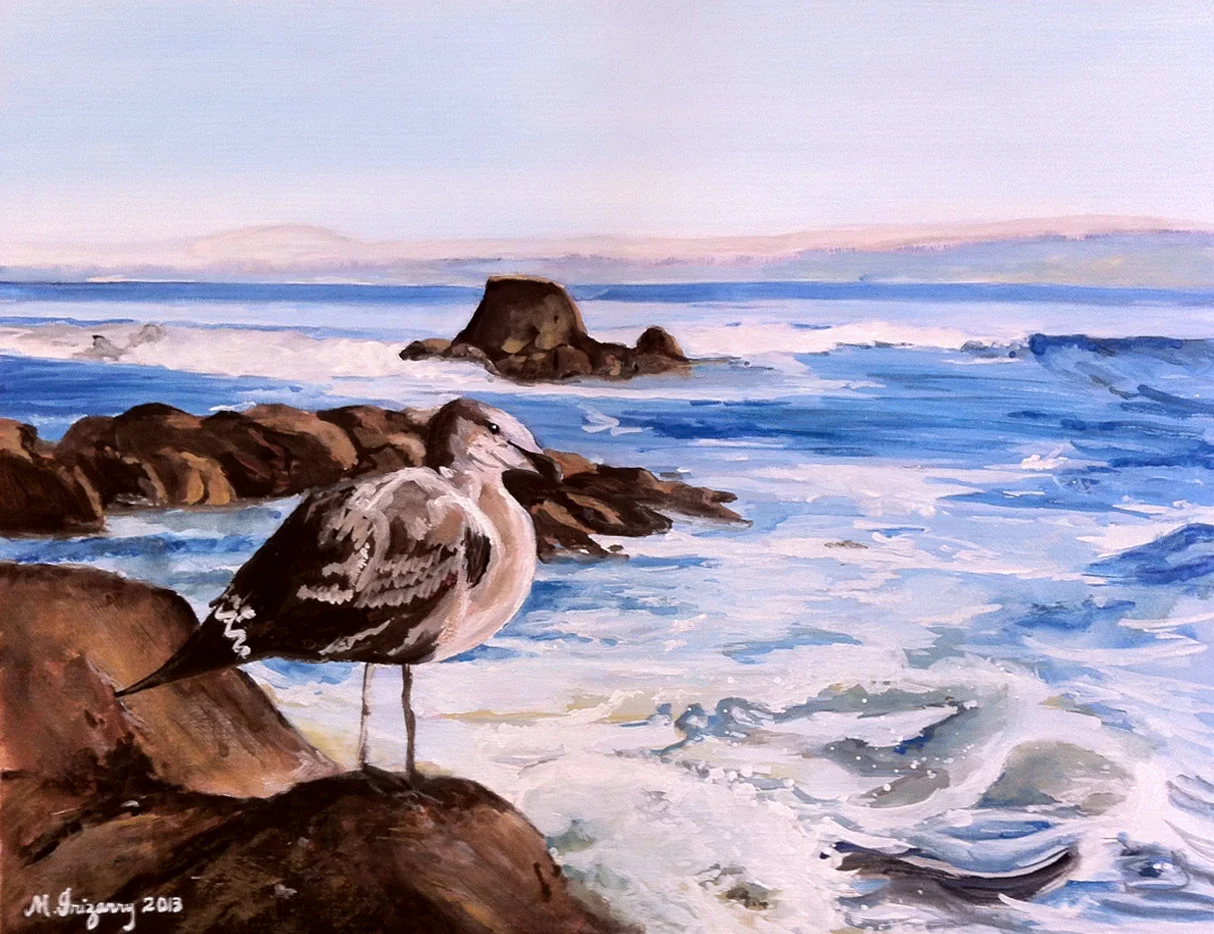 Seagull - gouache on matboard (11 x 15 inches approx.)