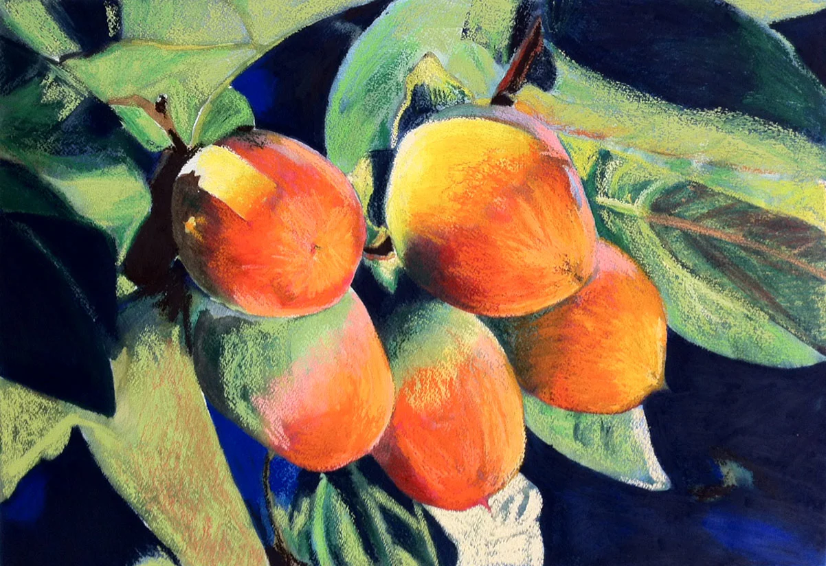 Work-in-progress - Mangoes - oil pastel on gessoed watercolor paper (14x21 inches)