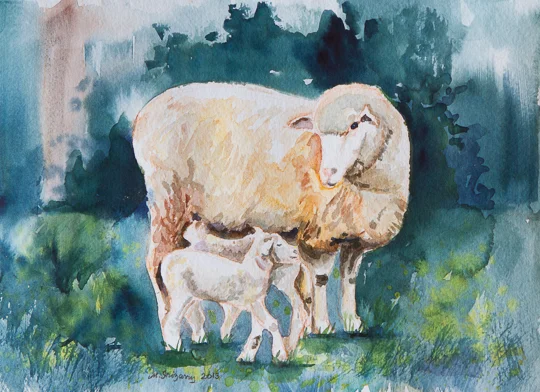 Sheep family - watercolor on watercolor paper (12 x 9 inches)