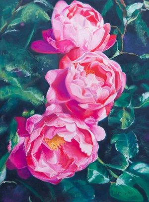 Pink trio - oil pastel on illustration board (15x20 inches)