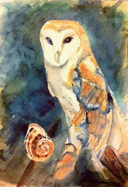 Barn owl - watercolor on watercolor paper (9x12 inches approx.)