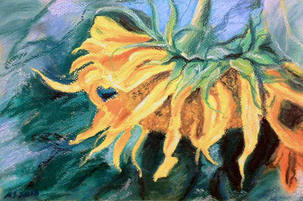 Sunflower - oil pastels on matboard (approx. 8 x 12 inches)