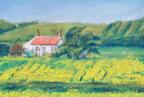 Flower field