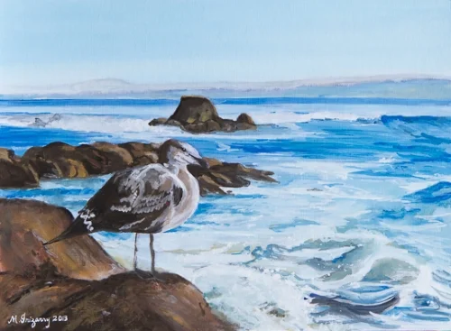 Seagull along the California coast