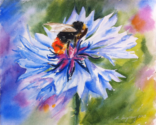 Bee on coneflower