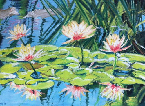 Waterlilies
