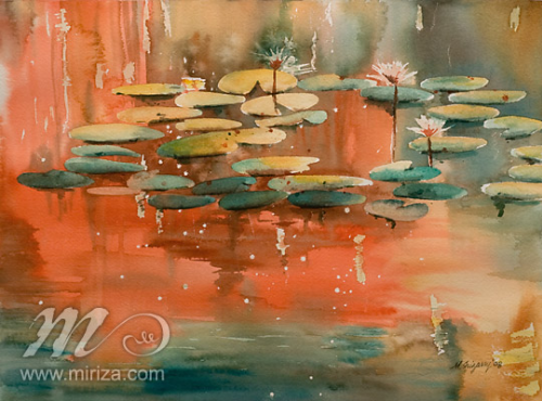 Waterlilies at Sunset