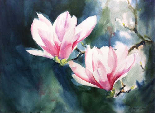 Pink magnolias
