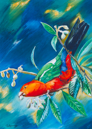 King parrot