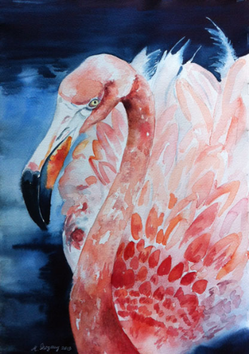 Flamingo