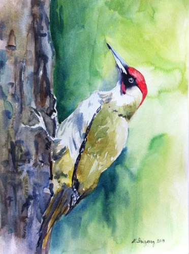 European green woodpecker