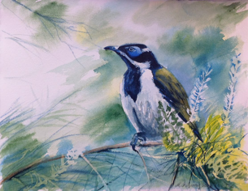 Blue-eyed honeyeater