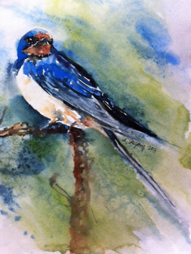 Barn swallow