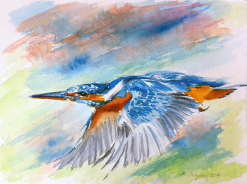 Kingfisher