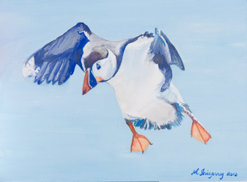 Landing puffin