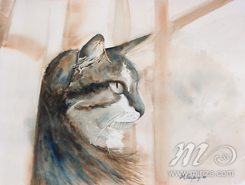 Untitled 8