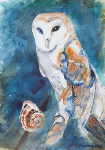 Barn Owl II