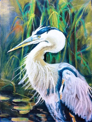 Great Blue Heron - oil pastel on watercolor paper (11x15 inches)