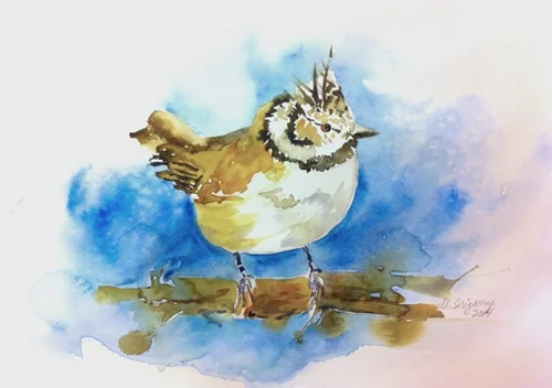 European crested tit - watercolor on watercolor sketchbook (12x9 inches)