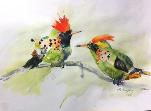 Tufted coquettes - watercolor on sketchbook (9x12 inches)