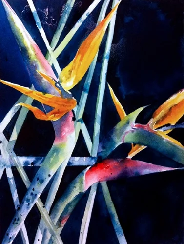 Bird of paradise - watercolor on watercolor paper (11x15 inches)