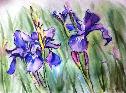 Iris - watercolor and Tombow marker on watercolor paper (11x15 inches)
