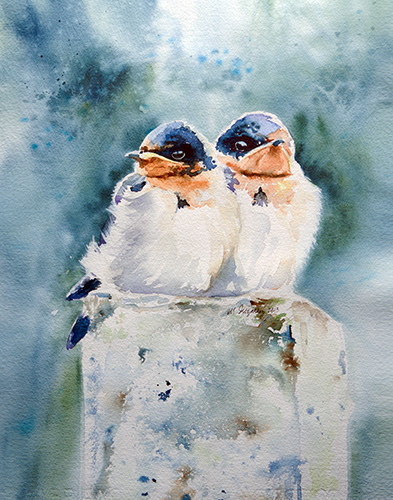 Baby swallows - Watercolor on paper (11x15 inches)