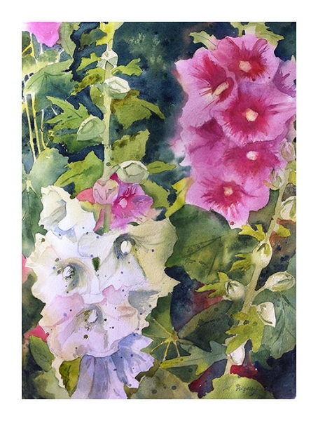 "Hollyhocks" - watercolor on watercolor paper (11x15 inches)