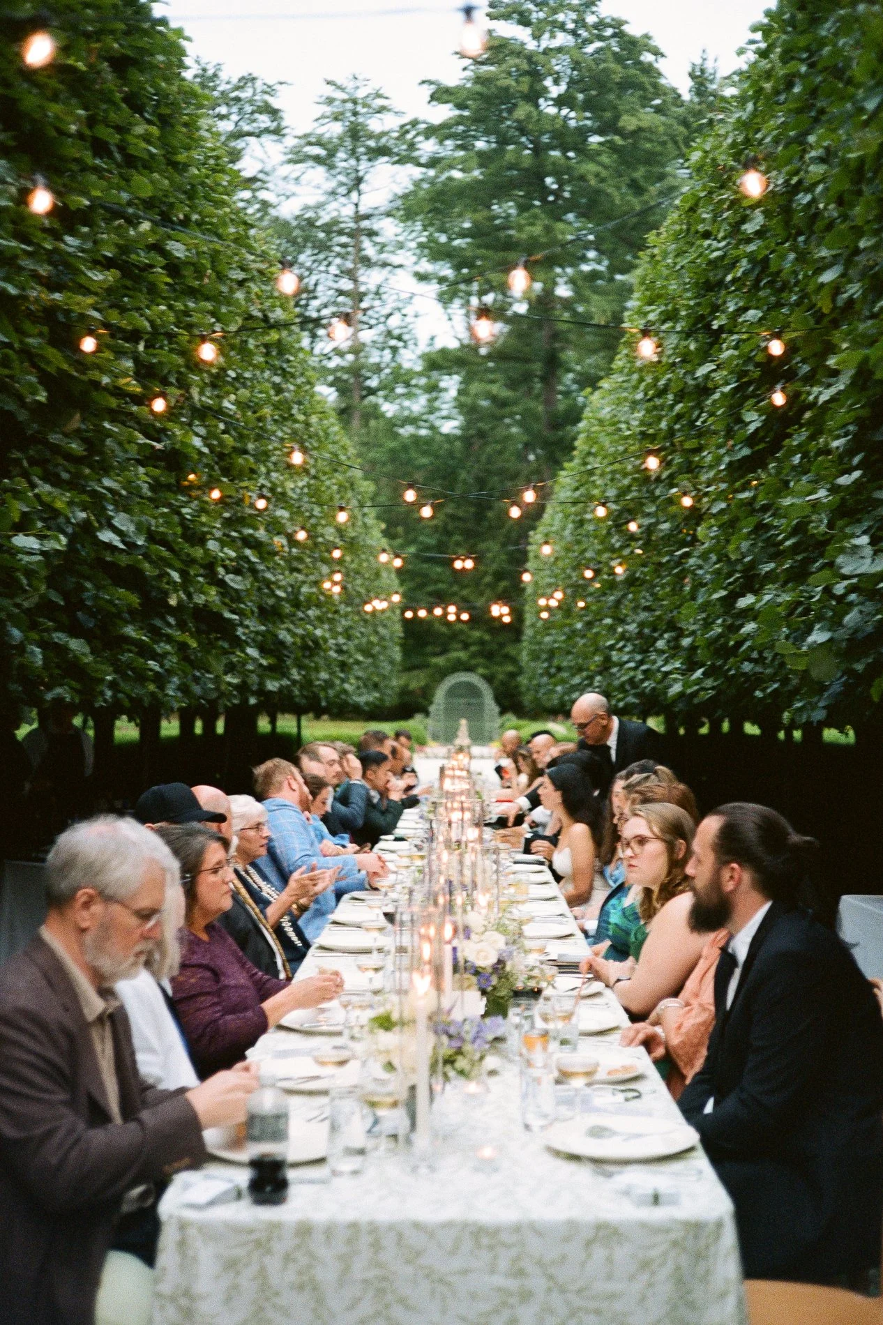 Guests sit at a long table during a wedding dinner in the Lime Walk at The Mount.
