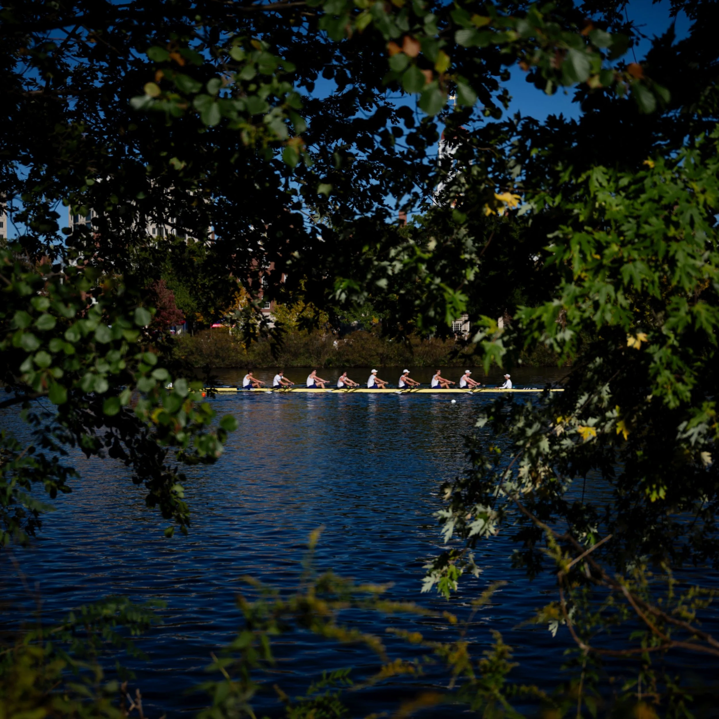 I had the opportunity to photograph some rowing at the Head of the Charles last weekend. It was fun to dip my toe back into some sports photography!