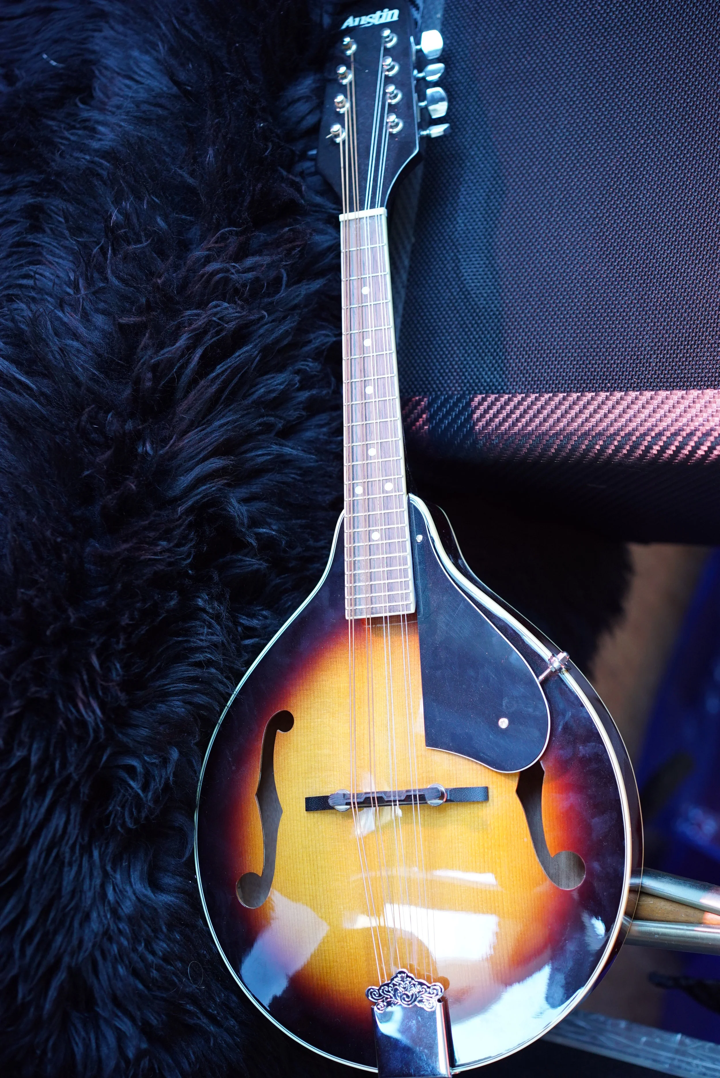 123117 Instrument Library 013.JPG