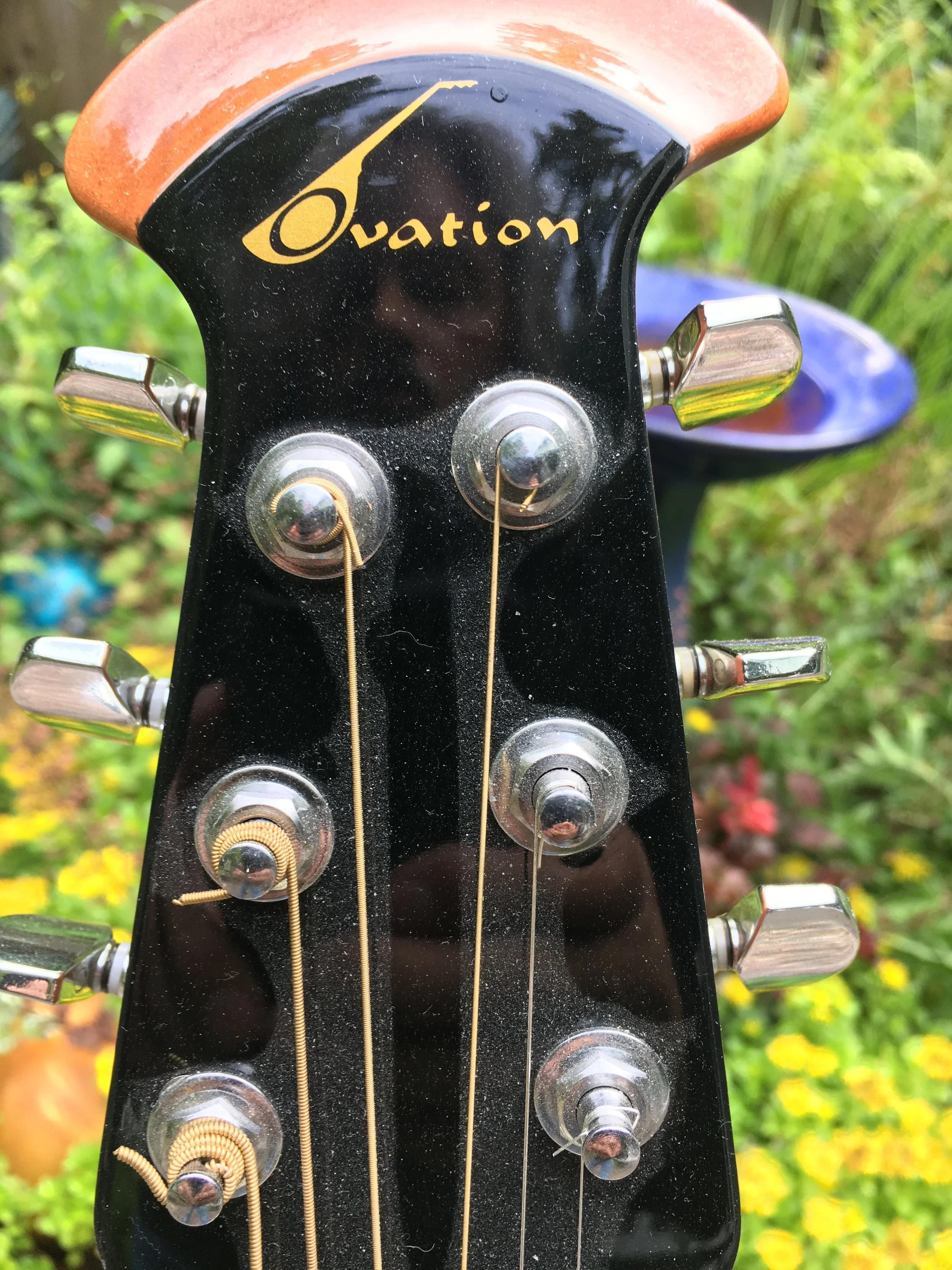 Ovation Celebrity Acoustic Electric from Nancy Oppegaard (4).JPG