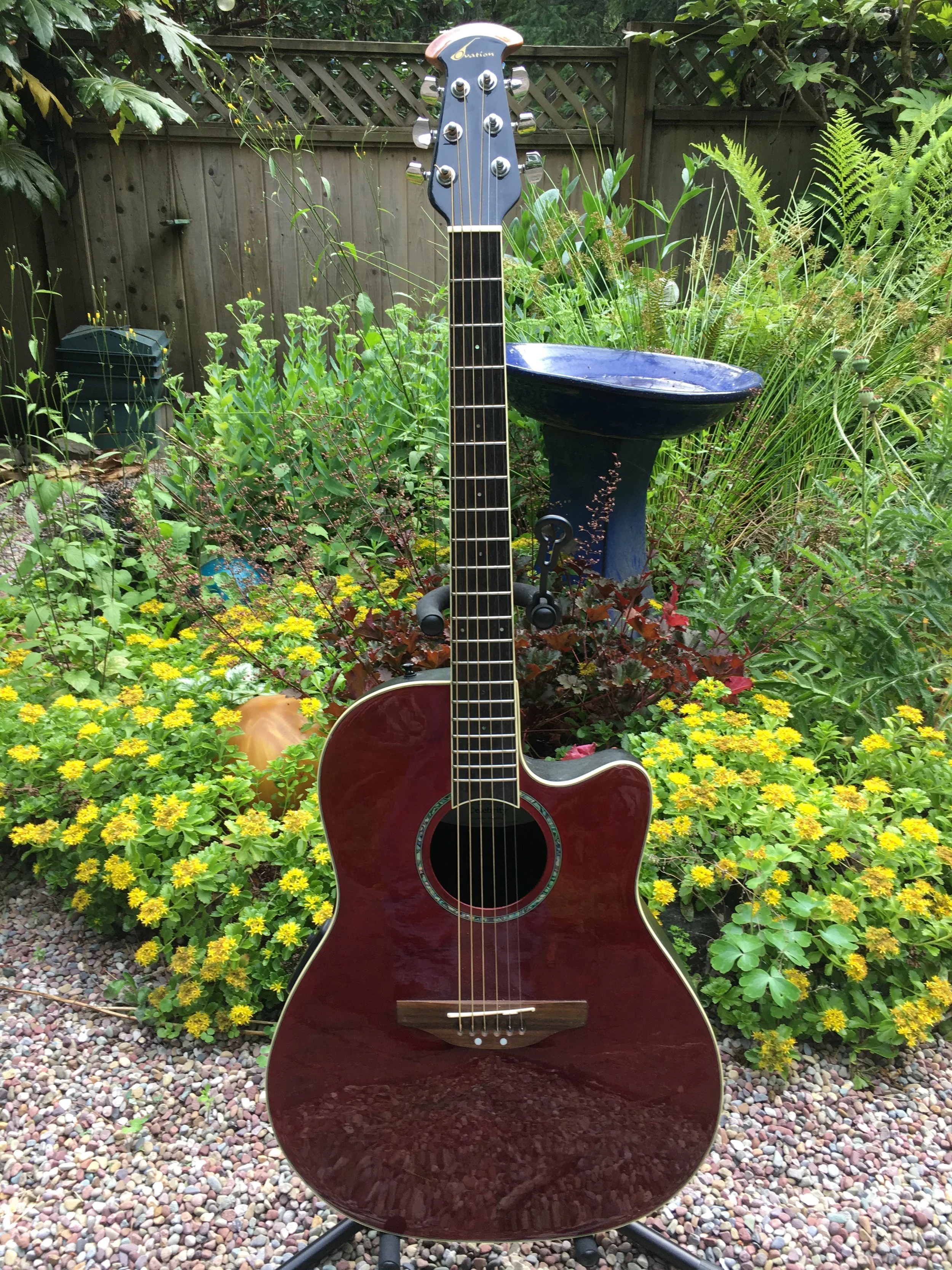 Ovation Celebrity Acoustic Electric from Nancy Oppegaard (2).JPG