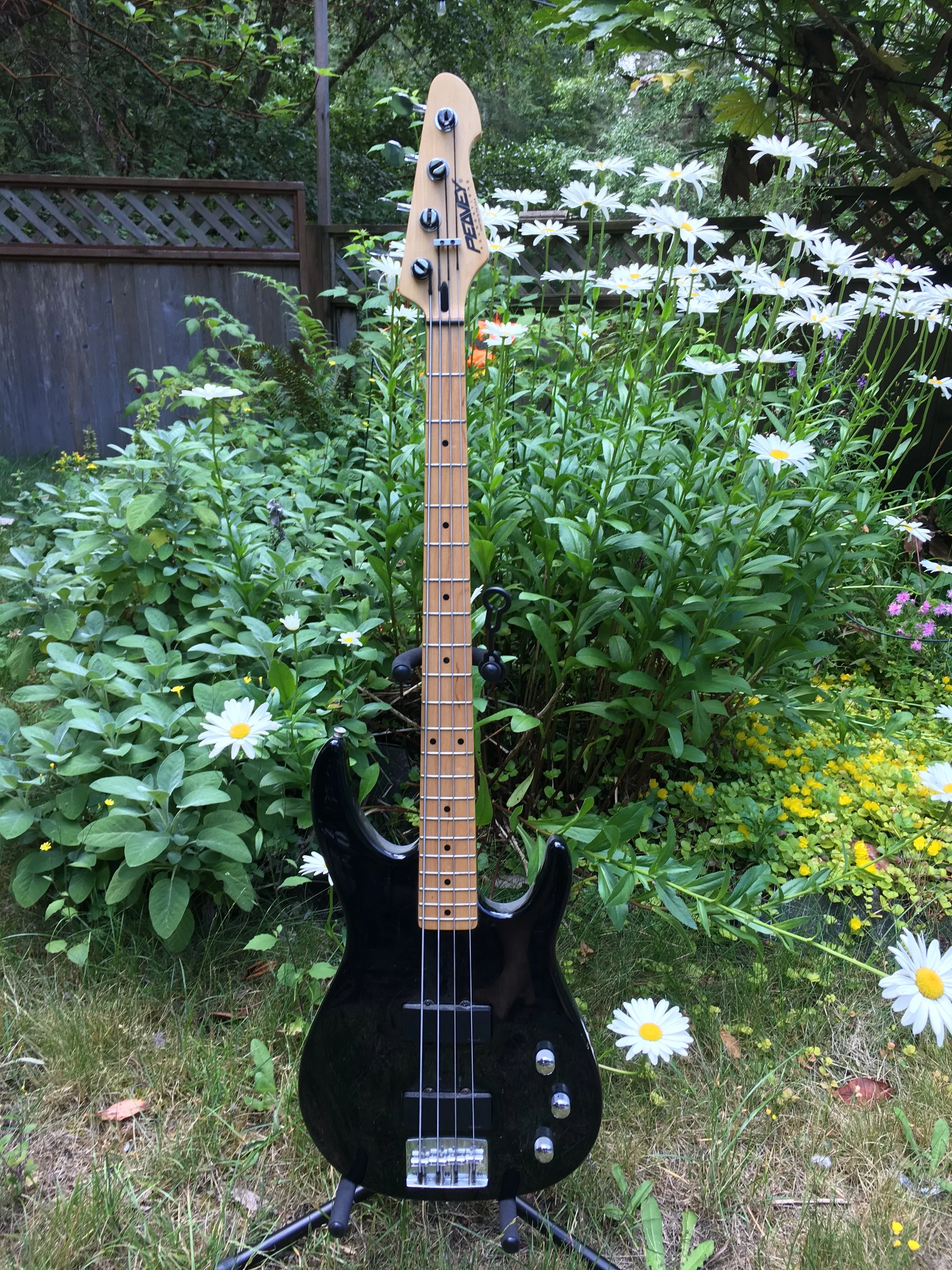 Peavy Electric Bass guitar from Joe Panzetta (2).JPG