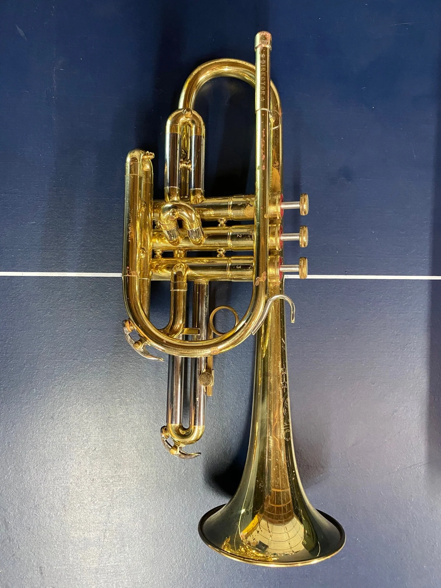 IMG_0784.jpg