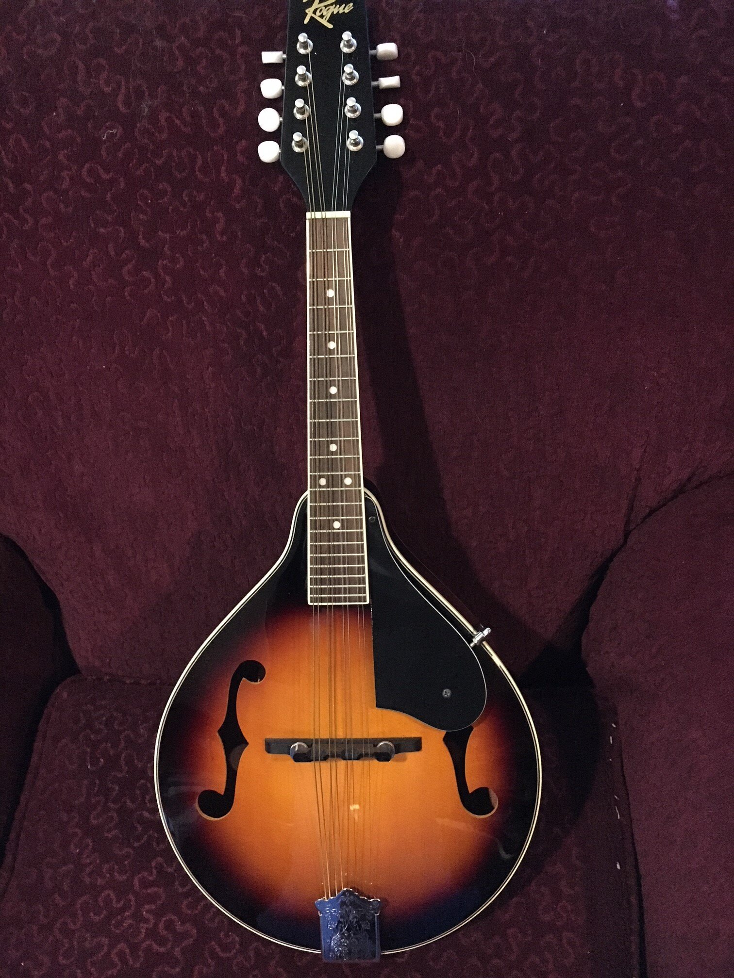 Mandolin student grade (3).JPG