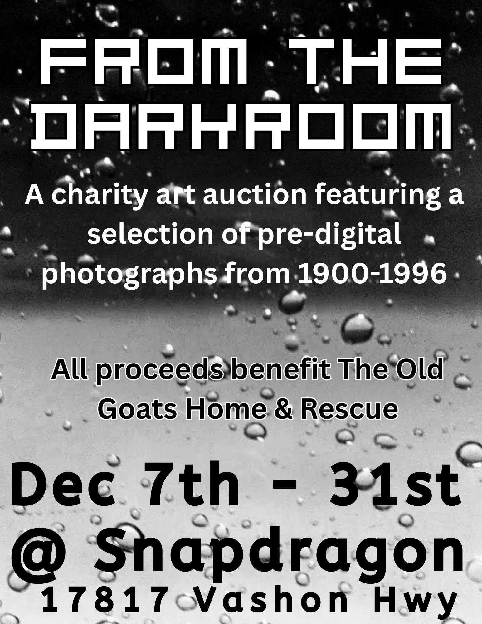 From The Darkroom Charity Auction