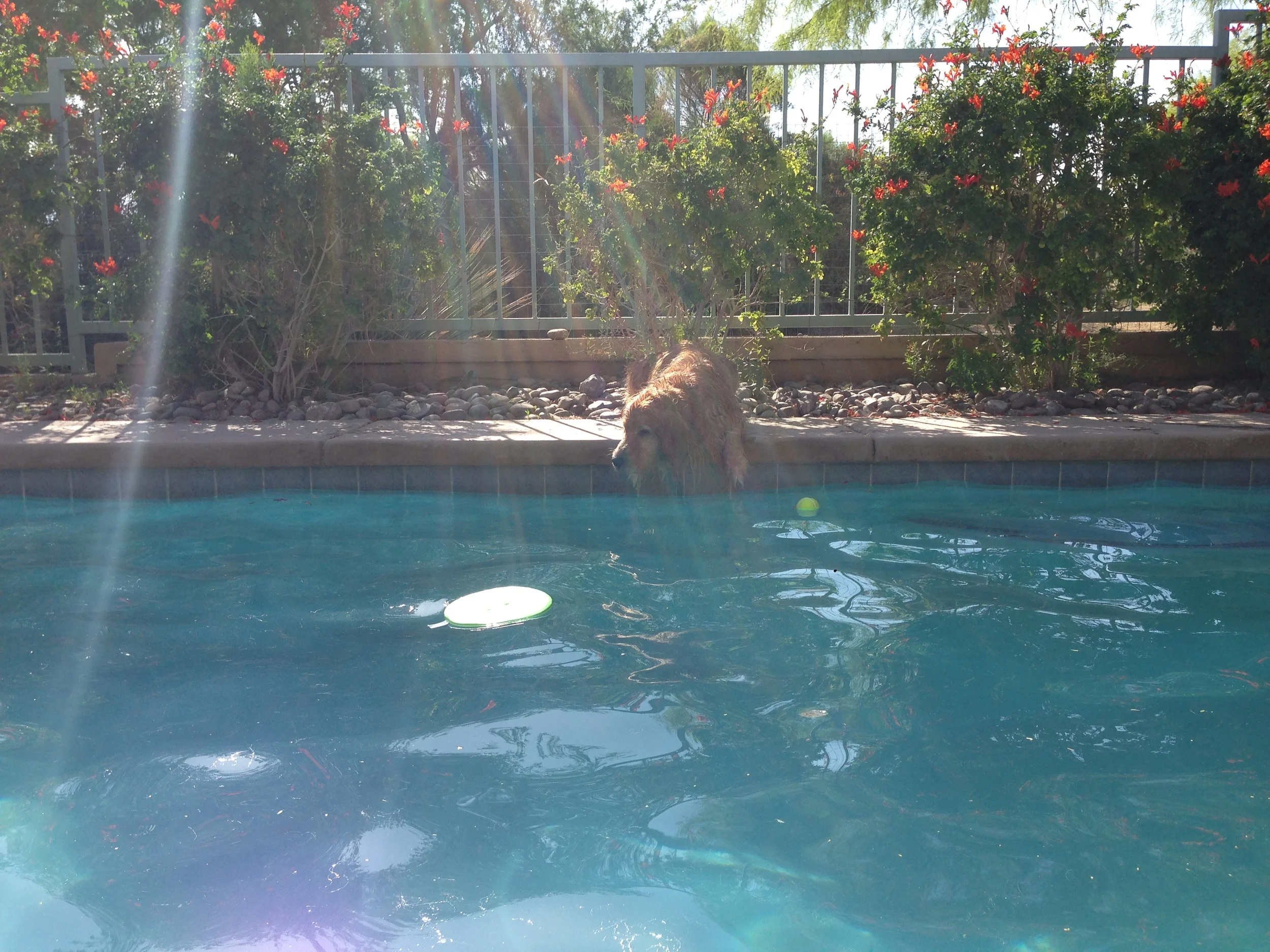 Barkley had the time of his little life.