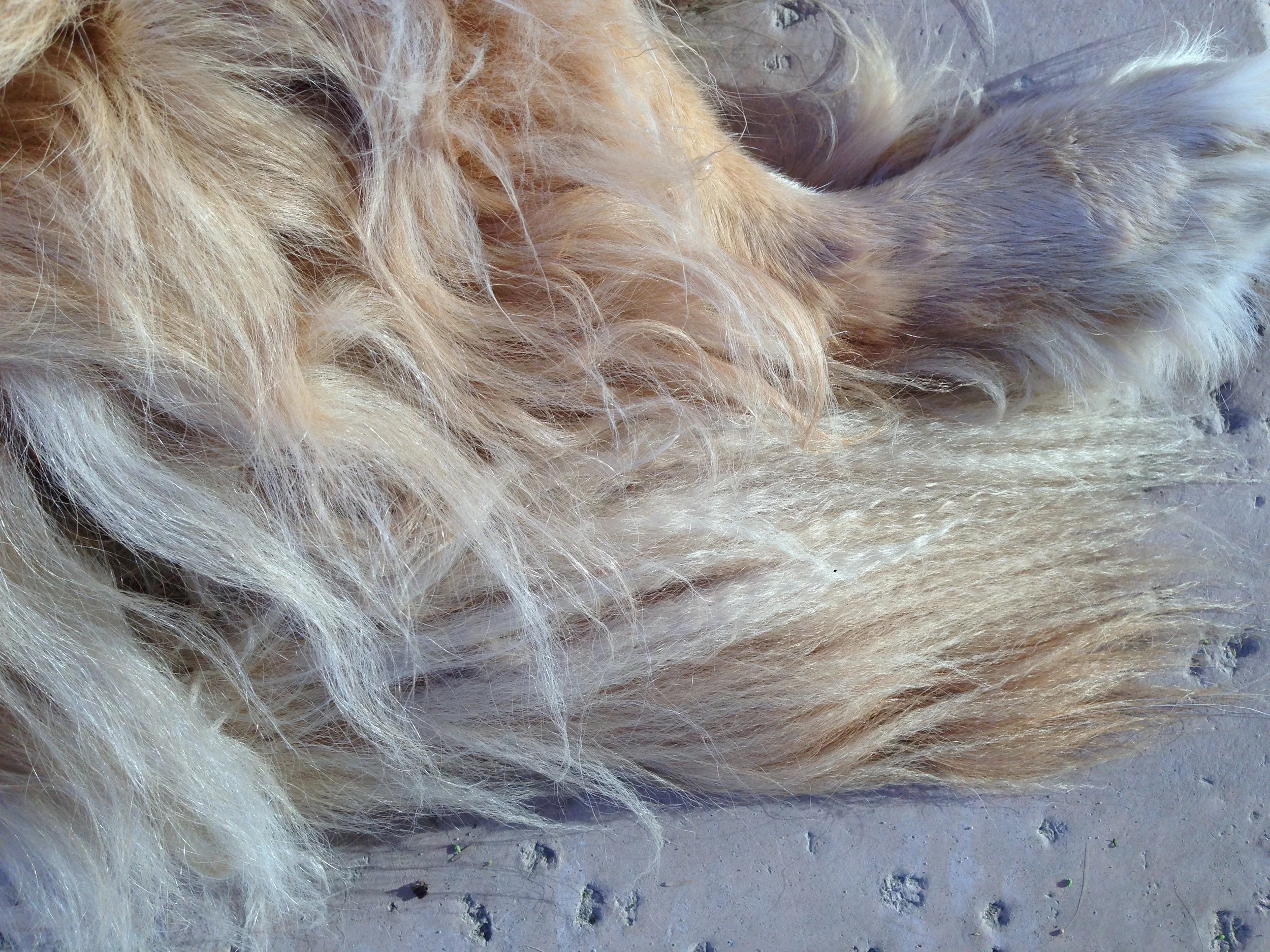 Crimpy. 