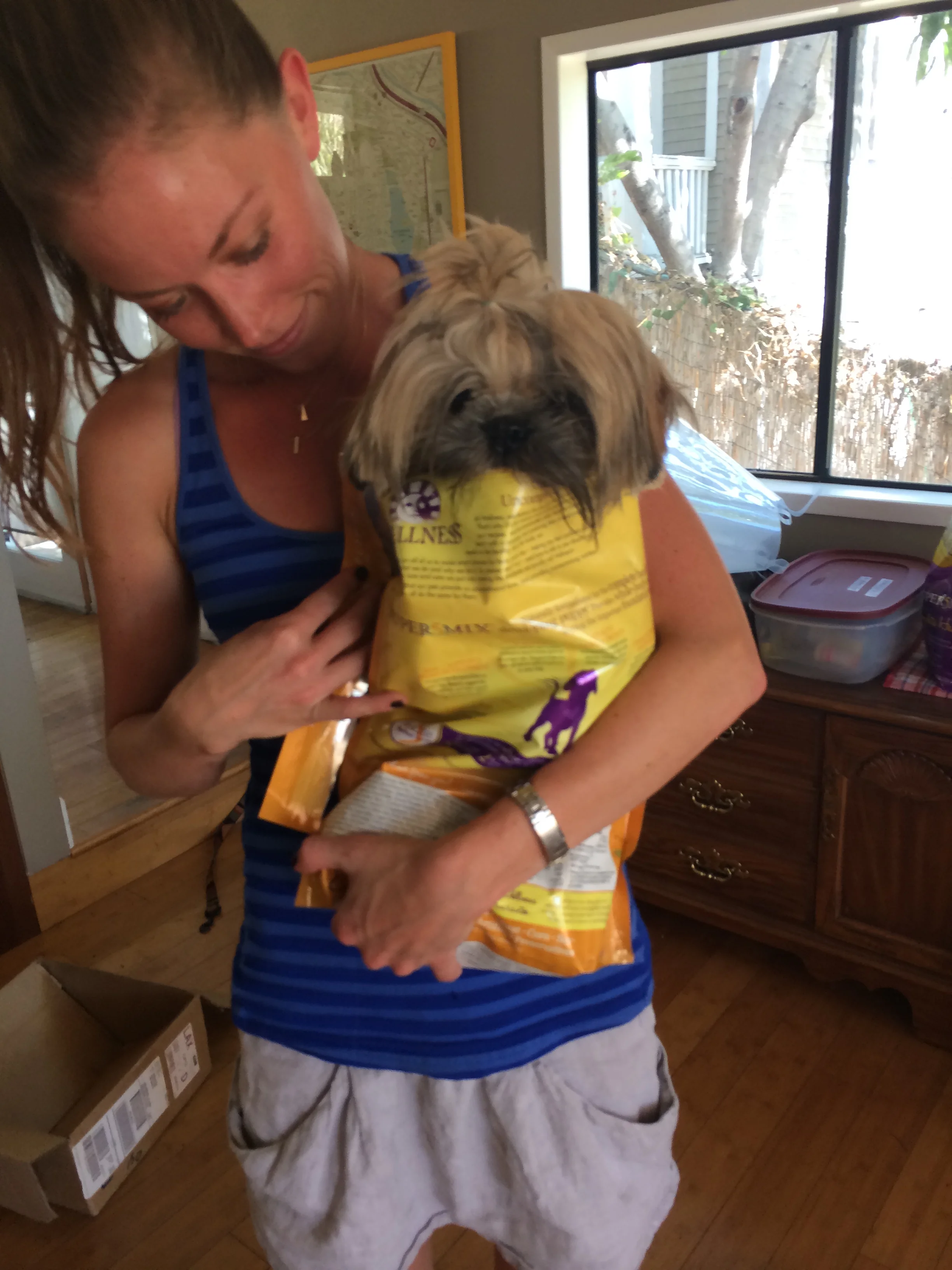 Dog in a bag. 