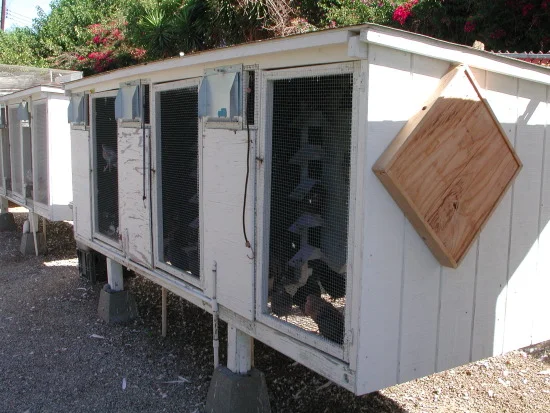 Roller pigeon kit boxes.