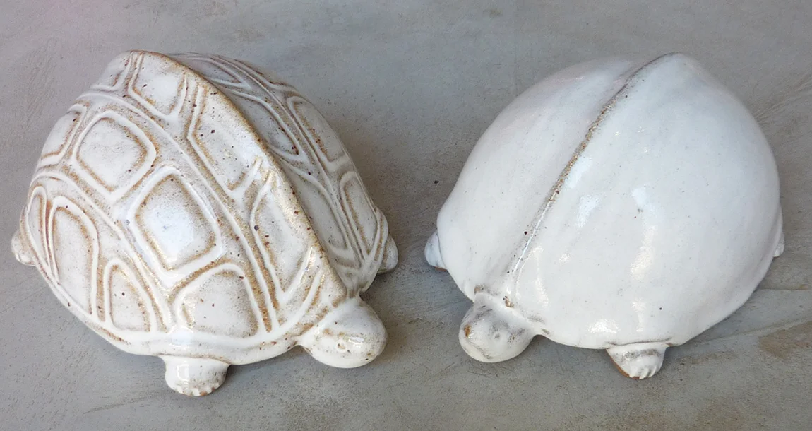 Turtles.jpg