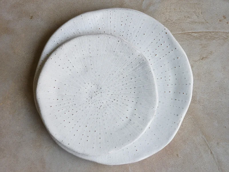 Coral dot plates-coral collection