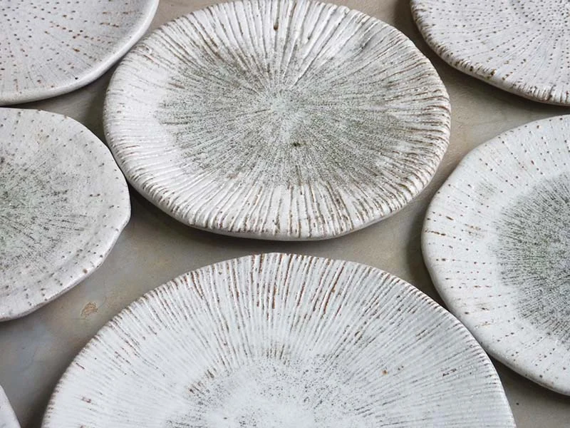 Coral plates mixed selection- coral collection