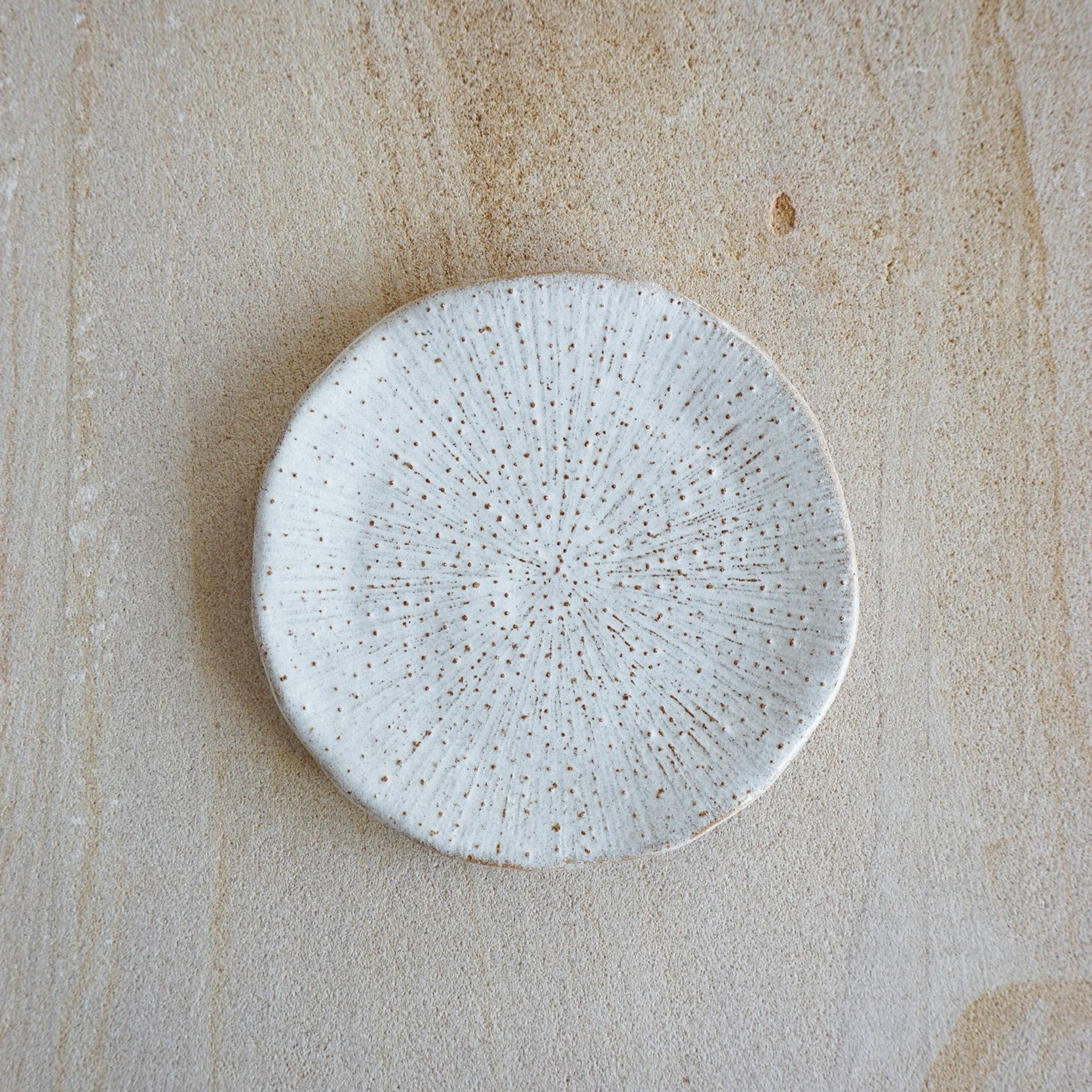 Small dessert plate     -     Dot coral collection