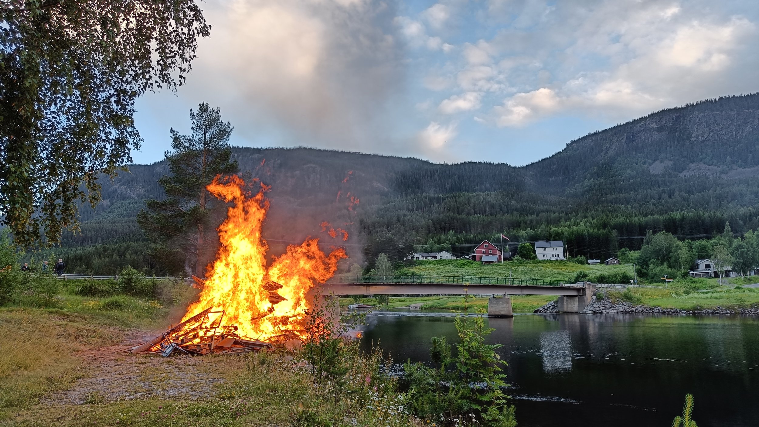 IMG20240621215030.jpg